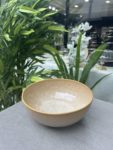 LIVING INN Порцеланска Здела 20cm