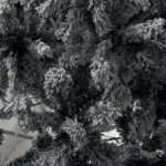 Alpine Frost Новогодишна Снежна Елка, 210cm
